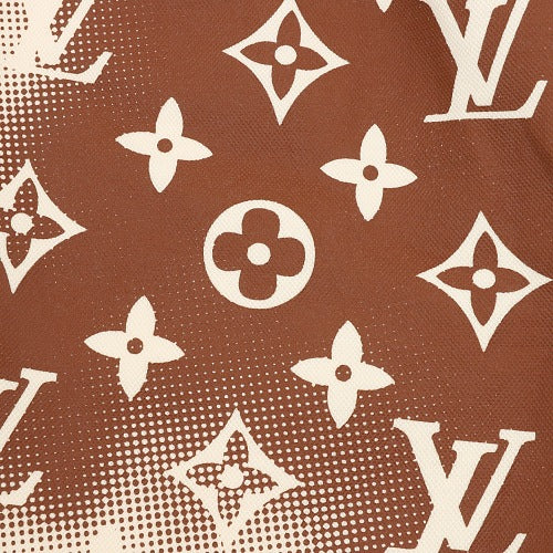 Louis Vuitton LV Monogram Reversible Shorts